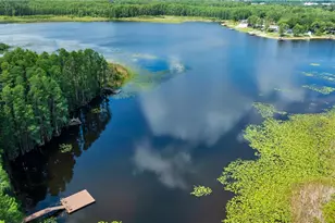 1715 Hammocks Ave, Lutz, FL 33549 - Photo 52