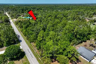 2022 Flower Terrace, Sebring, FL 33875 - Photo 14