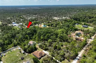 2022 Flower Terrace, Sebring, FL 33875 - Photo 10