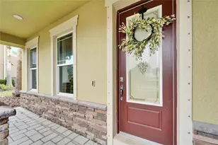 13316 Palmera Vista Dr, Riverview, FL 33579 - Photo 2