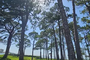 2700 Bayshore Blvd, Dunedin, FL 34698 - Photo 28