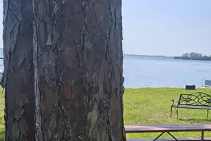 2700 Bayshore Blvd, Dunedin, FL 34698 - Photo 34