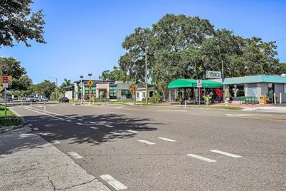 779 12th Ave N, Saint Petersburg, FL 33704 - Photo 32