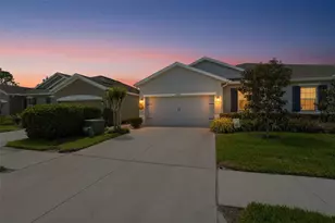 10335 Heron Hideaway Loop, Land O Lakes, FL 34638 - Photo 4