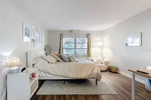 406 S Cedar Ave, Tampa, FL 33606 - Photo 16