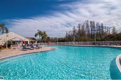 20941 Tangor Road, Land O Lakes, FL 34637 - Photo 46