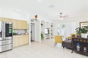 17353 Lawn Orchid Loop, Land O Lakes, FL 34638 - Photo 24