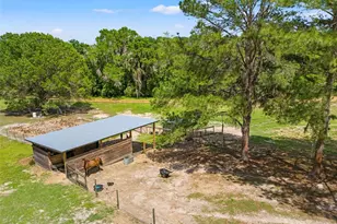 23125 Jacobson Rd, Brooksville, FL 34601 - Photo 58