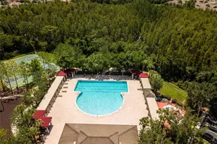 31950 Stillmeadow Dr, Wesley Chapel, FL 33543 - Photo 28