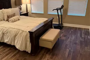 4432 Vermillion Sky Dr, Wesley Chapel, FL 33544 - Photo 24