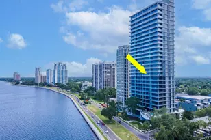 3101 Bayshore Blvd St, Tampa, FL 33629 - Photo 60