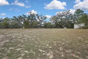 3017 Lema Dr, Spring Hill, FL 34609 - Photo 36