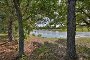 6707 Park Strand Dr, Apollo Beach, FL 33572 - Photo 58