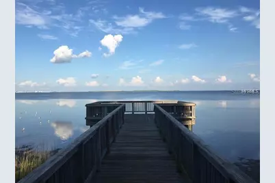 2947 Pointeview Drive, Tampa, FL 33611 - Photo 28