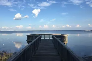 2947 Pointeview Dr, Tampa, FL 33611 - Photo 28