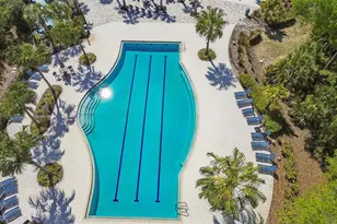 4241 Amped Wy, Land O Lakes, FL 34638 - Photo 74