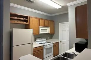 18302 Bridle Club Dr, Tampa, FL 33647 - Photo 2