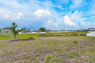 12795 Fisherville Wy, Riverview, FL 33579 - Photo 76