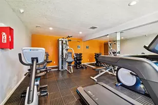 229 Red Maple Pl, Brandon, FL 33510 - Photo 40