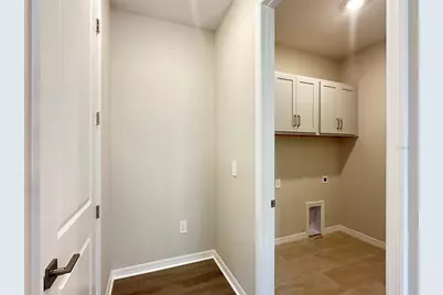 5932 Fresh Flora Drive, Wimauma, FL 33598 - Photo 18