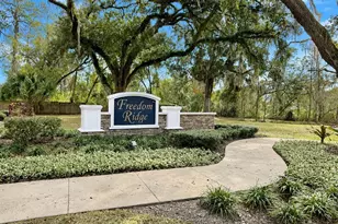 9242 Freedom Hill Dr, Seffner, FL 33584 - Photo 44