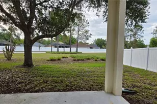 10906 Tree Cactus Loop, Land O Lakes, FL 34638 - Photo 50