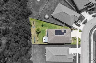 21922 Crest Meadow Dr, Land O Lakes, FL 34637 - Photo 28