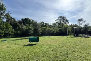17006 Seville Orange Rd, Winter Garden, FL 34787 - Photo 10