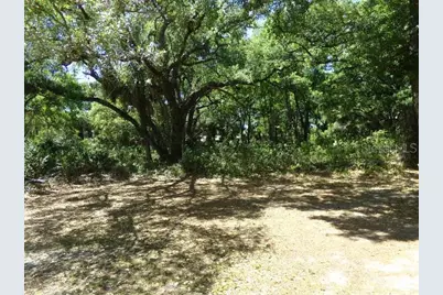 3901 Church Arbor Avenue #B6, Tampa, FL 33614 - Photo 18