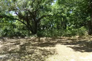 3901 Church Arbor Ave, Tampa, FL 33614 - Photo 18