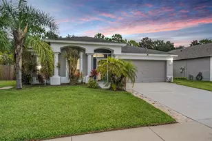 13221 Evening Sunset Ln, Riverview, FL 33579 - Photo 1