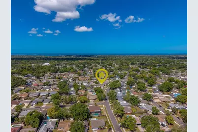 1603 W Orangecrest Avenue, Palm Harbor, FL 34683 - Photo 48