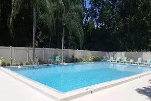 160 Joanne Pl, Oldsmar, FL 34677 - Photo 34