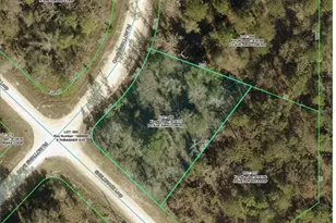 16008 Cave Swallow Rd, Brooksville, FL 34614 - Photo 1