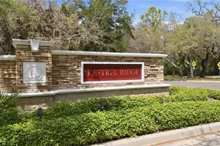 15108 Kestrelglen Way, Lithia, FL 33547 - Photo 50