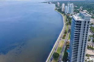 3101 Bayshore Blvd, Tampa, FL 33629 - Photo 74