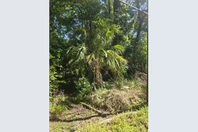 0 Fort Dade Avenue, Brooksville, FL 34601 - Photo 2