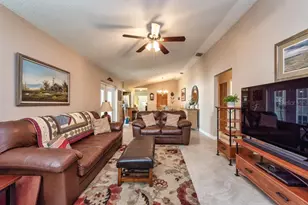 2911 Lahlor Ln, Palm Harbor, FL 34684 - Photo 16