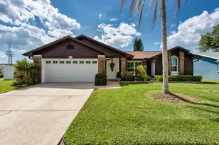 2911 Lahlor Ln, Palm Harbor, FL 34684 - Photo 1