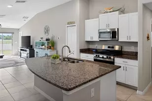 14441 Touch Gold Ln, Sun City Center, FL 33573 - Photo 8