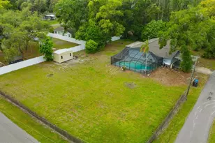 407 1st Ave NE, Lutz, FL 33549 - Photo 1
