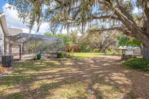 3916 Powerline Rd, Lithia, FL 33547 - Photo 52