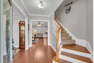 3916 Powerline Rd, Lithia, FL 33547 - Photo 8