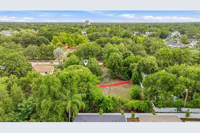 1019 W Coral Street, Tampa, FL 33602 - Photo 8