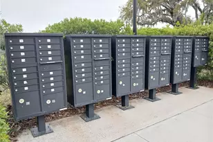 29900 Walsh Oak Dr, Wesley Chapel, FL 33545 - Photo 82