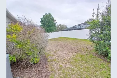 29900 Walsh Oak Drive, Wesley Chapel, FL 33545 - Photo 58