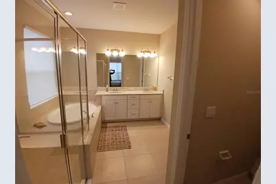 29900 Walsh Oak Drive, Wesley Chapel, FL 33545 - Photo 46