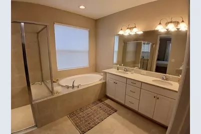 29900 Walsh Oak Drive, Wesley Chapel, FL 33545 - Photo 50