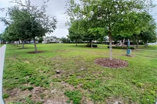 29900 Walsh Oak Dr, Wesley Chapel, FL 33545 - Photo 80