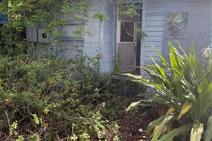 707 S Prospect Ave, Clearwater, FL 33756 - Photo 4